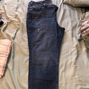 Lane Bryant Straight Leg Jean